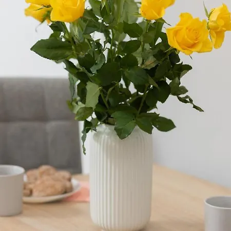 Metro Bielany With Parking By Renters Warszawa